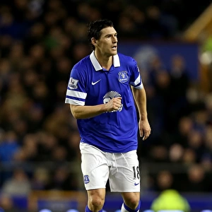 Everton's Unforgettable 4-0 FA Cup Victory with Gareth Barry's Leadership (04-01-2014)