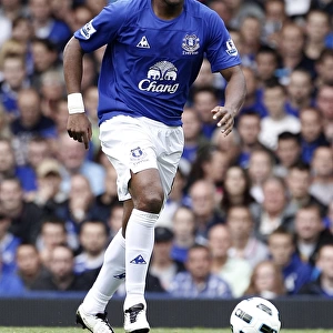 Everton's Unyielding Defender: Sylvain Distin