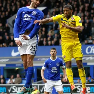 Marouane Fellaini Print (Everton 3 v Reading 1) Marouane Fellaini Print (Everton 3 v Reading 1)