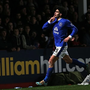 Five-Star Fellaini: Everton's Unforgettable FA Cup Victory over Cheltenham Town (January 7, 2013)