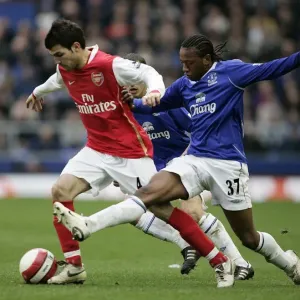 Football - Everton v Arsenal FA Barclays Premiership - Goodison Park - 18 / 3 / 07 Arsenals Cesc Fabregas and Evertons Manuel Fernandes Mandatory Credit: Action Images / Ryan Browne Livepic
