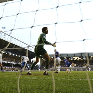 Football - Everton v Portsmouth - Barclays Premier League - Goodison Park - 07 / 08 - 2 / 3 / 08 Tim Cahill (2nd R) scores the second goal for Everton, beating Portsmouth goalkeeper David James Mandatory Credit: Action Images / Keith Williams