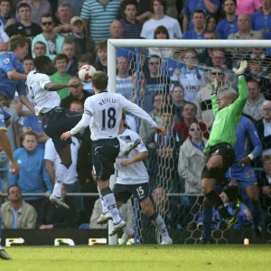 Football - Portsmouth v Everton Barclays Premier League