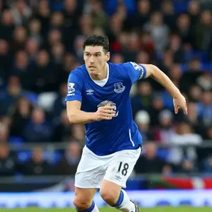 Gareth Barry in Action: Everton vs Swansea City, Premier League - Goodison Park Gareth Barry in Action: Everton vs Swansea City, Premier League - Goodison Park
