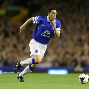 Gareth Barry Scores the Winning Goal: Everton's 3-2 Triumph over Newcastle United at Goodison Park (BPL 2013) Gareth Barry Scores the Winning Goal: Everton's 3-2 Triumph over Newcastle United at Goodison Park (BPL 2013)