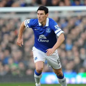Gareth Barry's Brilliant Performance: Everton's 2-0 Victory Over Norwich City (Barclays Premier League, 11-01-2014) Gareth Barry's Brilliant Performance: Everton's 2-0 Victory Over Norwich City (Barclays Premier League, 11-01-2014)