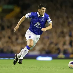 Gareth Barry's Game-Winning Goal: Everton's Exhilarating 3-2 Triumph over Newcastle United (Premier League, 2013) - Goodison Park Gareth Barry's Game-Winning Goal: Everton's Exhilarating 3-2 Triumph over Newcastle United (Premier League, 2013) - Goodison Park