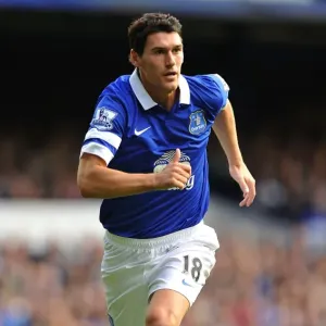 Gareth Barry's Leadership: Everton's 2-1 Victory Over Hull City (October 19, 2013, Goodison Park) Gareth Barry's Leadership: Everton's 2-1 Victory Over Hull City (October 19, 2013, Goodison Park)