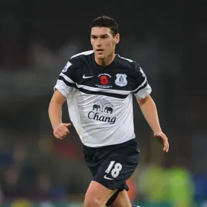 Gareth Barry's Leadership: A Scoreless Stalemate - Crystal Palace vs. Everton (09-11-2013) Gareth Barry's Leadership: A Scoreless Stalemate - Crystal Palace vs. Everton (09-11-2013)