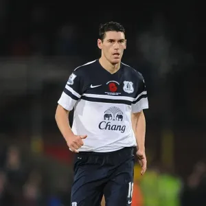 Gareth Barry's Leading Performance: Crystal Palace vs. Everton - Barclays Premier League (09-11-2013) (0 v 0, Selhurst Park) Gareth Barry's Leading Performance: Crystal Palace vs. Everton - Barclays Premier League (09-11-2013) (0 v 0, Selhurst Park)