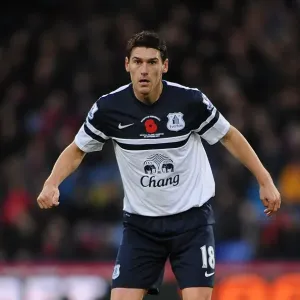 Gareth Barry's Steadfast Performance: Everton Holds Crystal Palace Scoreless (Barclays Premier League, November 9, 2013) Gareth Barry's Steadfast Performance: Everton Holds Crystal Palace Scoreless (Barclays Premier League, November 9, 2013)