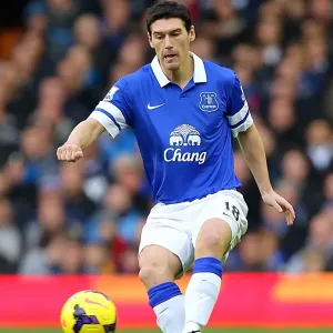 Gareth Barry's Stellar Performance: Everton's 4-0 Thrashing of Stoke City (November 30, 2013) Gareth Barry's Stellar Performance: Everton's 4-0 Thrashing of Stoke City (November 30, 2013)