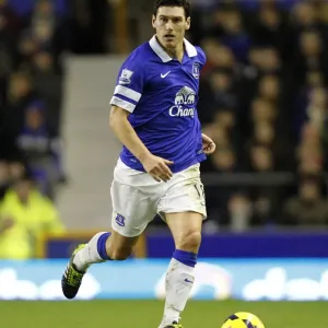 Gareth Barry's Stellar Show: Everton's 2-0 Triumph Over Norwich City (BPL, Goodison Park, 11-01-2014) Gareth Barry's Stellar Show: Everton's 2-0 Triumph Over Norwich City (BPL, Goodison Park, 11-01-2014)