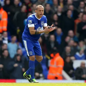 Heitinga's Rallying Cry: Everton Overcomes Early Deficit vs. Tottenham Hotspur (BPL, 07-04-2013) Heitinga's Rallying Cry: Everton Overcomes Early Deficit vs. Tottenham Hotspur (BPL, 07-04-2013)