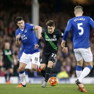 Intense Rivalry: Gareth Barry vs Bojan Krkic - Everton vs Stoke City's Battle for Supremacy at Goodison Park Intense Rivalry: Gareth Barry vs Bojan Krkic - Everton vs Stoke City's Battle for Supremacy at Goodison Park