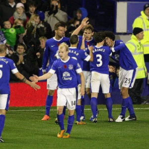 Jelavic Scores Everton's Second Goal Against Sunderland in Barclays Premier League (10-11-2012)