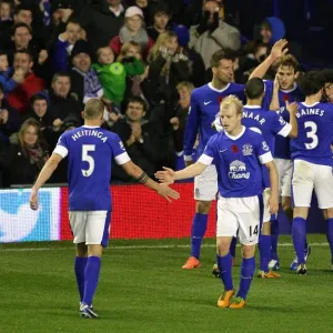 Jelavic Scores Everton's Second Goal Against Sunderland in Barclays Premier League (10-11-2012) Jelavic Scores Everton's Second Goal Against Sunderland in Barclays Premier League (10-11-2012)