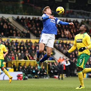 Jelavic's Determined Strike: Everton vs. Norwich City, Premier League