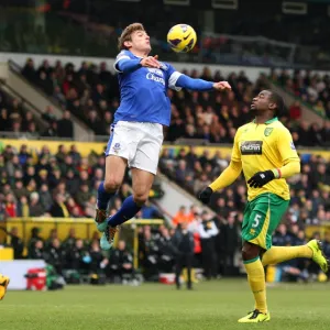 Premier League Photographic Print Collection: Norwich City 2 v Everton 1 : Carrow Road : 23-02-2013