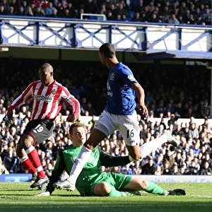 Premier League Photographic Print Collection: 26 February 2011 Everton v Sunderland