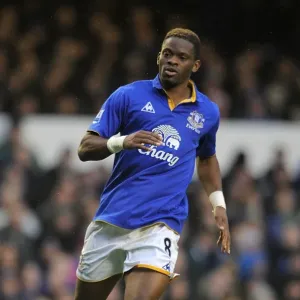 Louis Saha's Stunner: Everton's Game-Winning Goal vs. Blackburn Rovers (21 January 2012, Goodison Park)