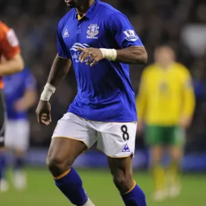 Louis Saha's Stunner: Everton's Victory Over Norwich City (17 December 2011, Goodison Park) Louis Saha's Stunner: Everton's Victory Over Norwich City (17 December 2011, Goodison Park)