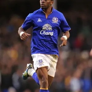 Louis Saha's Stunner: Everton's Winning Goal Against Blackburn Rovers, Premier League, Goodison Park (21 January 2012)