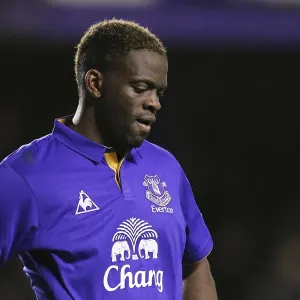 Louis Saha's Stunner: Everton's Winning Goal Against Bolton Wanderers (04.01.2012, Goodison Park)