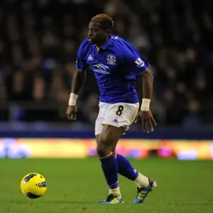 Louis Saha's Stunner: Everton's Winning Goal Against Norwich City (17 December 2011, Goodison Park) Louis Saha's Stunner: Everton's Winning Goal Against Norwich City (17 December 2011, Goodison Park)