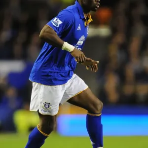 Louis Saha's Stunner: Everton's Winning Goal Against Swansea City (21 December 2011, Goodison Park)