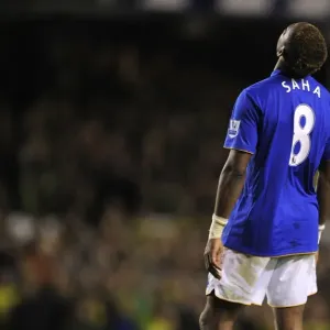 Louis Saha's Stunner: Everton's Winning Goal vs. Norwich City (17 December 2011, Goodison Park) Louis Saha's Stunner: Everton's Winning Goal vs. Norwich City (17 December 2011, Goodison Park)