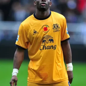 Louis Saha's Stunning Goal: Everton Triumphs at Newcastle United (5 November 2011) Louis Saha's Stunning Goal: Everton Triumphs at Newcastle United (5 November 2011)