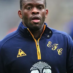 Louis Saha's Stunning Goal: Everton's Triumph at Newcastle United (November 5, 2011) Louis Saha's Stunning Goal: Everton's Triumph at Newcastle United (November 5, 2011)