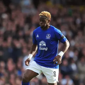 Louis Saha's Thrilling Goal: Everton's Epic Victory over Tottenham Hotspur in the Premier League (23 October 2010, White Hart Lane) Louis Saha's Thrilling Goal: Everton's Epic Victory over Tottenham Hotspur in the Premier League (23 October 2010, White Hart Lane)