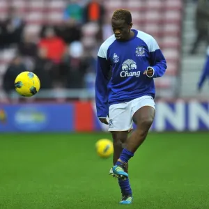 Louis Saha's Thrilling Goal: Everton's Victory Over Sunderland in the Premier League (December 2011) Louis Saha's Thrilling Goal: Everton's Victory Over Sunderland in the Premier League (December 2011)