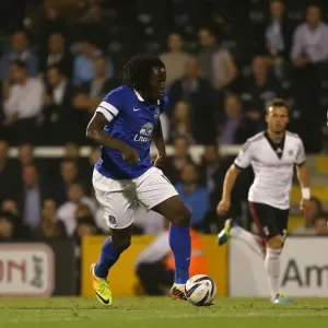 Lukaku's Charge: Everton's Triumph over Fulham in the Capital One Cup (September 24, 2013 - Craven Cottage)