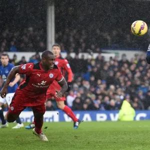 Lukaku's Header: Everton's Victory Against Leicester City in the Premier League at Goodison Park Lukaku's Header: Everton's Victory Against Leicester City in the Premier League at Goodison Park