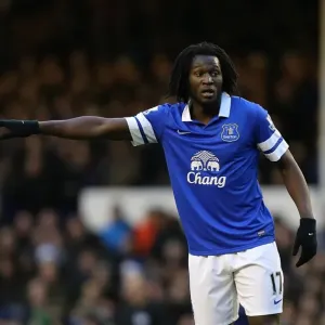 Lukaku's Struggle: Everton's Bittersweet Loss to Sunderland (December 26, 2013) Lukaku's Struggle: Everton's Bittersweet Loss to Sunderland (December 26, 2013)