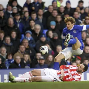 Premier League Collection: Everton 1 v Stoke City 0 : Goodison Park : 30-03-2013