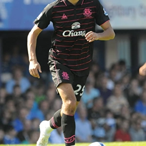 Marouane Fellaini in Action: Everton vs Portsmouth, Barclays Premier League