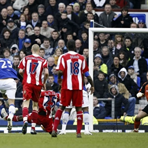 Marouane Fellaini Scores Third Goal: Everton's Victory Over Stoke City, Barclays Premier League, Goodison Park, March 14, 2009