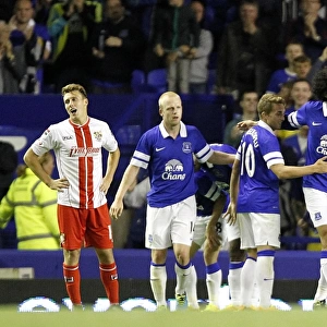 Marouane Fellaini Scores the Second Goal: Everton's Triumph over Stevenage in Capital One Cup (28-08-2013)