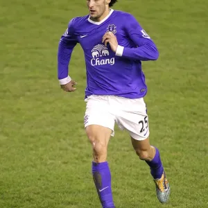 Premier League Prints: Everton 2 V West Bromwich Albion 1 : Goodison Park : 30-01-2013