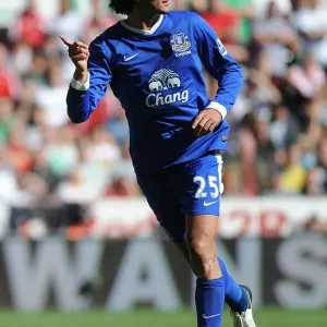 Marouane Fellaini's Thrilling Goal: Everton's 3-0 Triumph over Swansea City (September 22, 2012) Marouane Fellaini's Thrilling Goal: Everton's 3-0 Triumph over Swansea City (September 22, 2012)