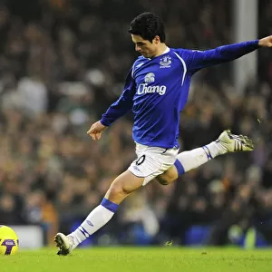 Mikel Arteta Scores the Second Goal: Everton's Victory over Hull City, Barclays Premier League, Goodison Park, January 10, 2009