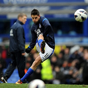 Mirallas Brace: Everton's Triumph Over Manchester City (Premier League 2012-13, Goodison Park)