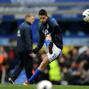 Mirallas Brace: Everton's Triumph Over Manchester City (Premier League 2012-13, Goodison Park) Mirallas Brace: Everton's Triumph Over Manchester City (Premier League 2012-13, Goodison Park)