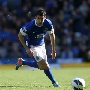 Mirallas Stuns Fulham: Everton's Winning Goal (Goodison Park, 2013) Mirallas Stuns Fulham: Everton's Winning Goal (Goodison Park, 2013)