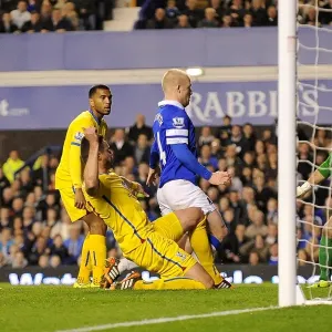 Naismith Strikes: Everton vs Crystal Palace - A Dramatic Goal in the BPL (16-04-2014, Goodison Park)