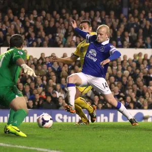 Premier League Prints: Everton 2 V Crystal Palace 3 : Goodison Park : 16-04-2014